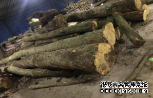 沐鸣2注册金丝楠木大板批发商浅谈金丝楠的前世今生。