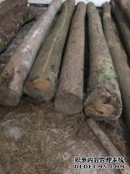 ​金丝楠木板材的木材品质沐鸣2注册