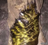 金丝楠木味道变淡的原因可能是因为这些沐鸣2
