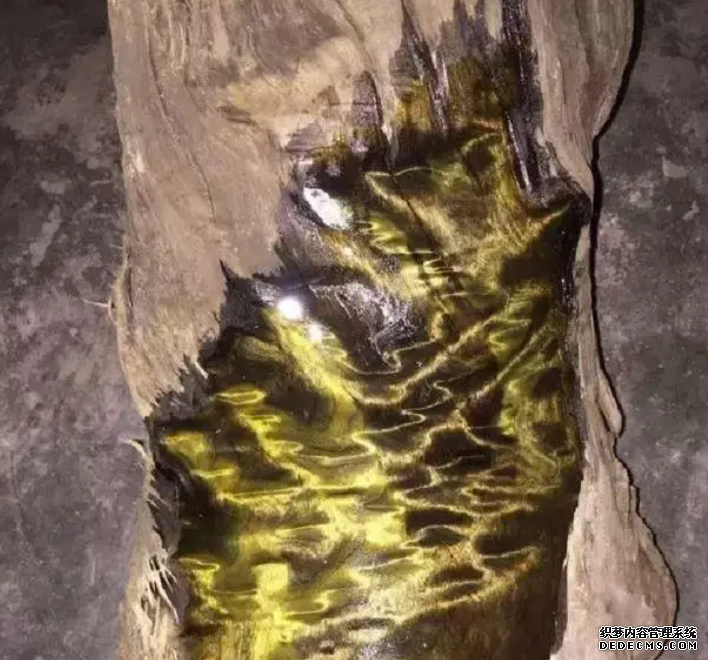 金丝楠木味道变淡的原因可能是因为这些沐鸣2